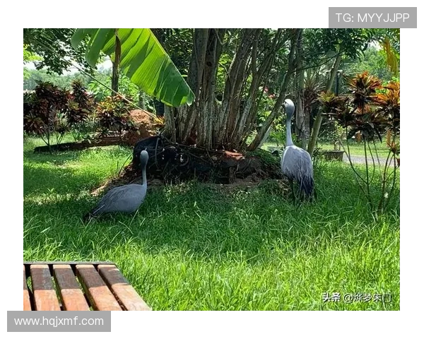 都柏林动物园为鹦鹉命名帕洛特引发热议带队杀入附加赛